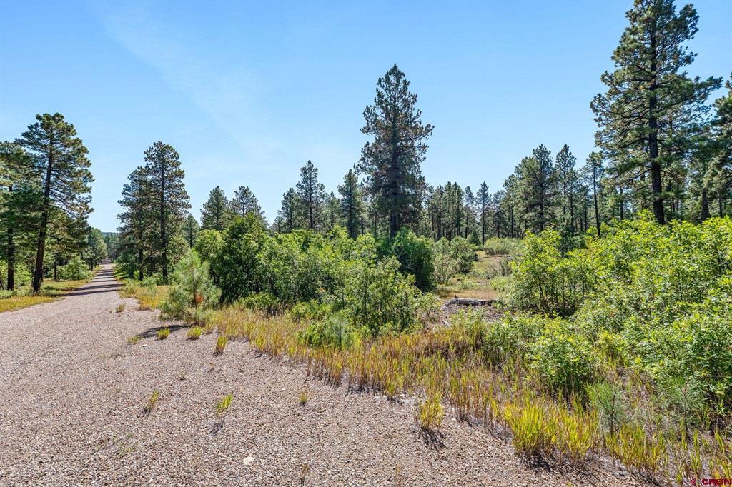 Tbd Vaquero Way Property Photo 19