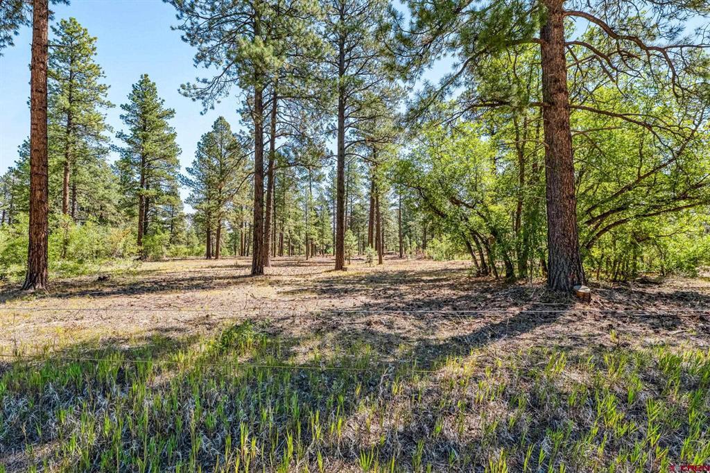 Tbd Vaquero Way Property Photo 20
