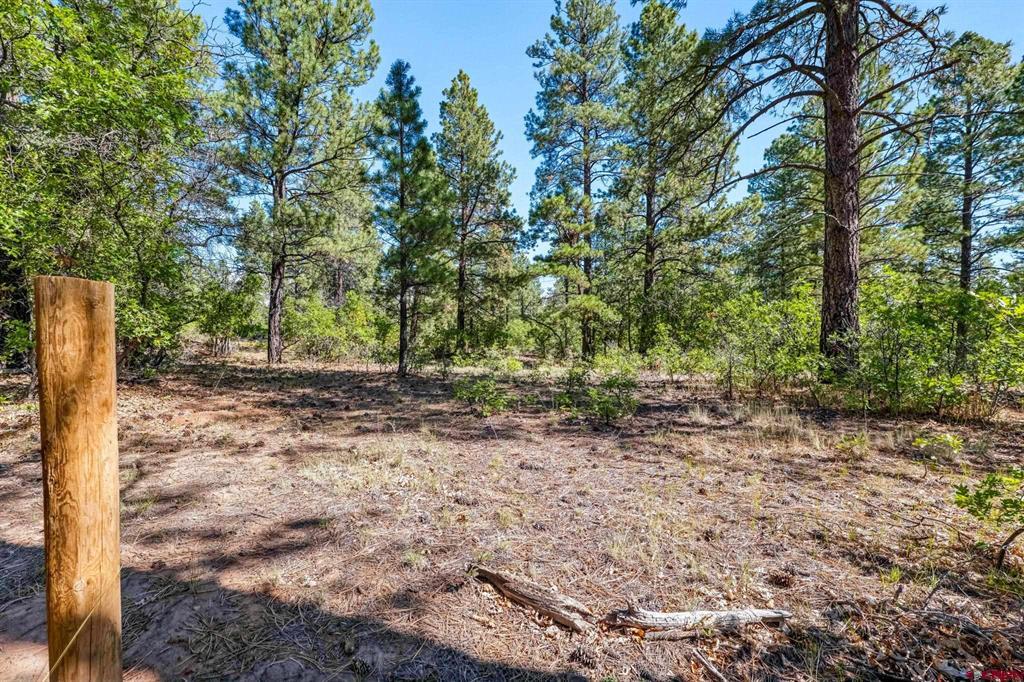 Tbd Vaquero Way Property Photo 21