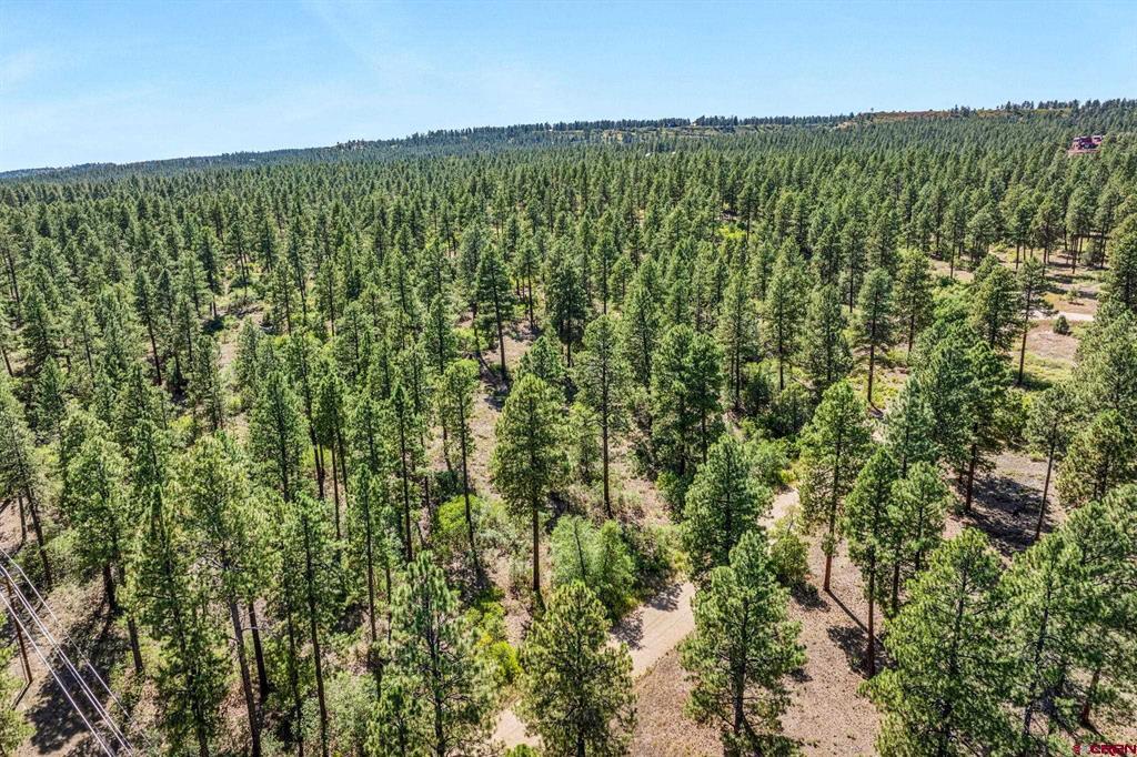 Tbd Vaquero Way Property Photo 25