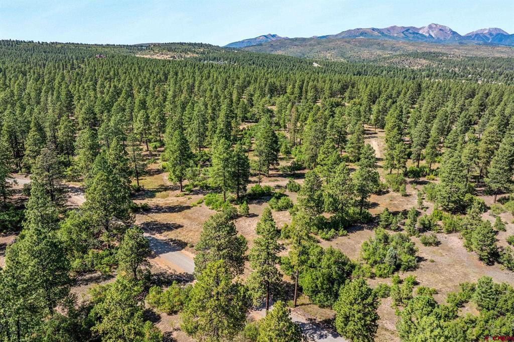 Tbd Vaquero Way Property Photo 29