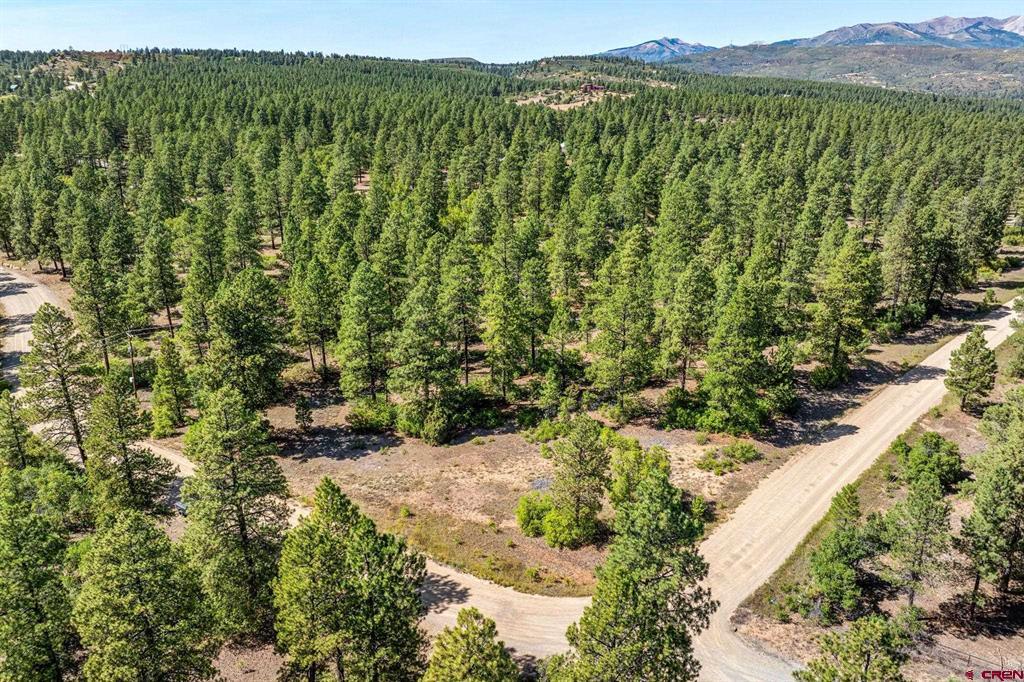 Tbd Vaquero Way Property Photo 34