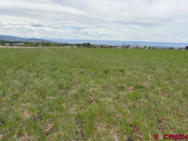 15736 2600 Road Property Photo 28