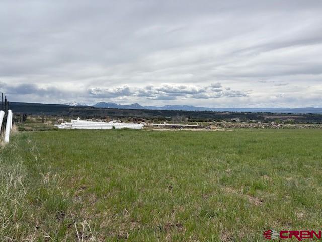 15736 2600 Road Property Photo 29