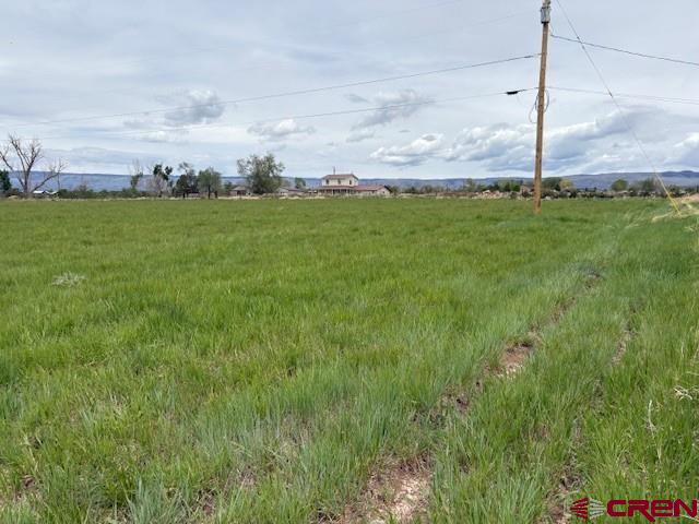 15736 2600 Road Property Photo 31