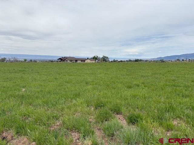 15736 2600 Road Property Photo 32