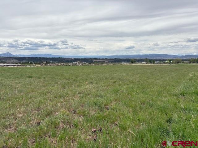 15736 2600 Road Property Photo 33