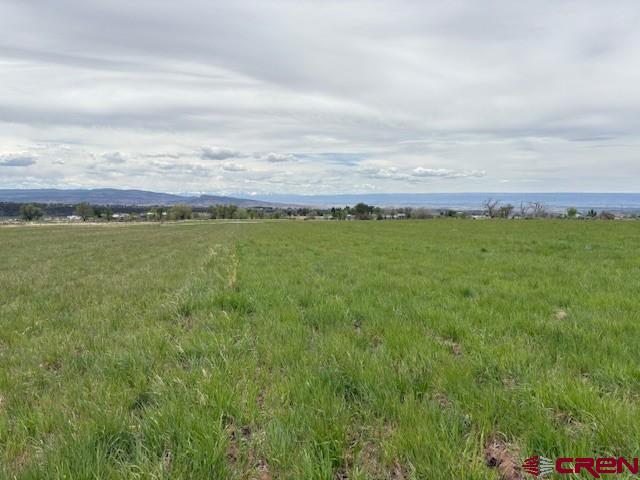 15736 2600 Road Property Photo 36