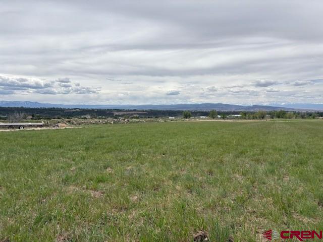 15736 2600 Road Property Photo 37