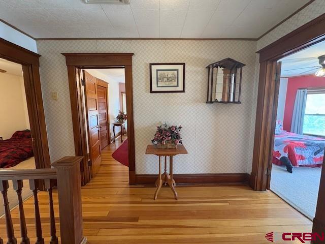 184 Garnet Avenue Property Photo 22