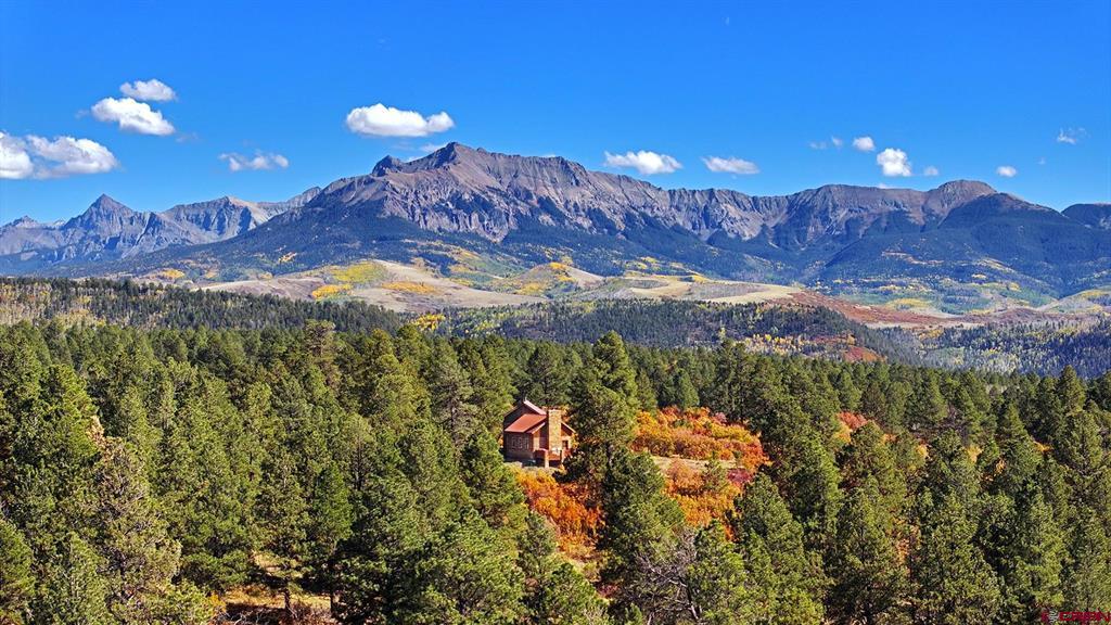 1250 Mckenzie Springs Road Property Photo 1