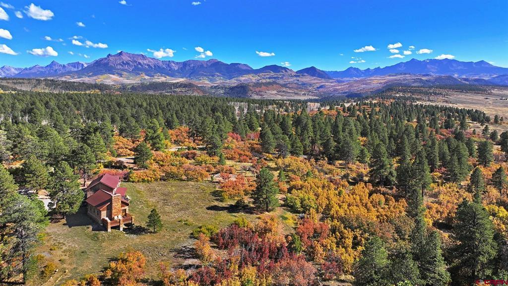 1250 Mckenzie Springs Road Property Photo 2