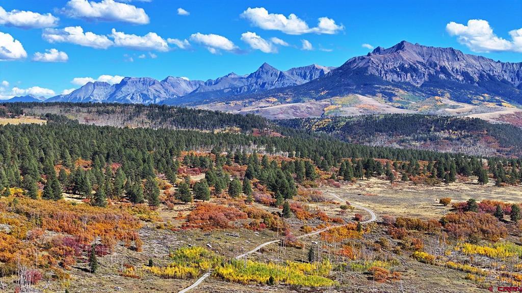 1250 Mckenzie Springs Road Property Photo 4