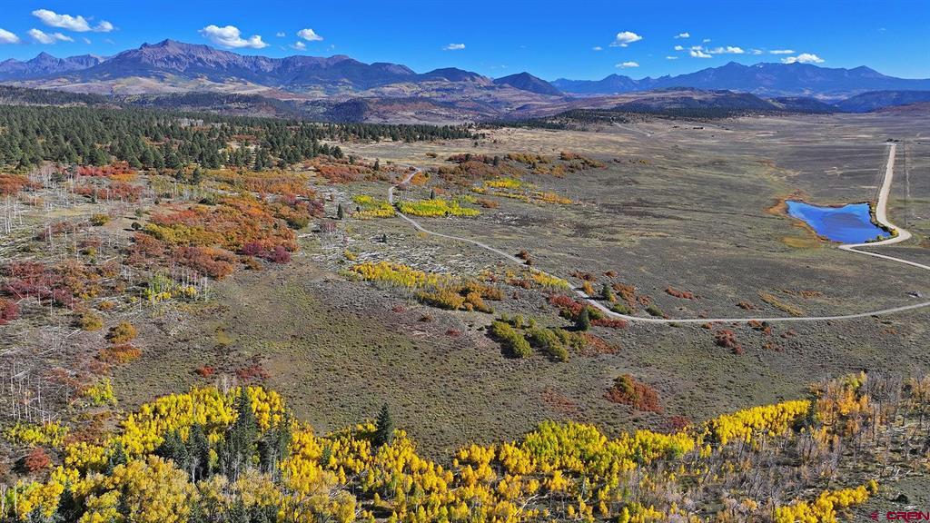 1250 Mckenzie Springs Road Property Photo 5