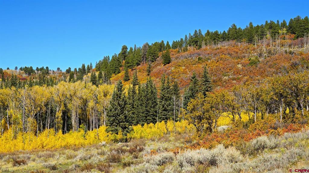 1250 Mckenzie Springs Road Property Photo 6