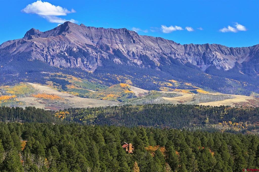 1250 Mckenzie Springs Road Property Photo 9