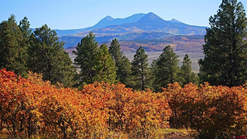 1250 Mckenzie Springs Road Property Photo 13