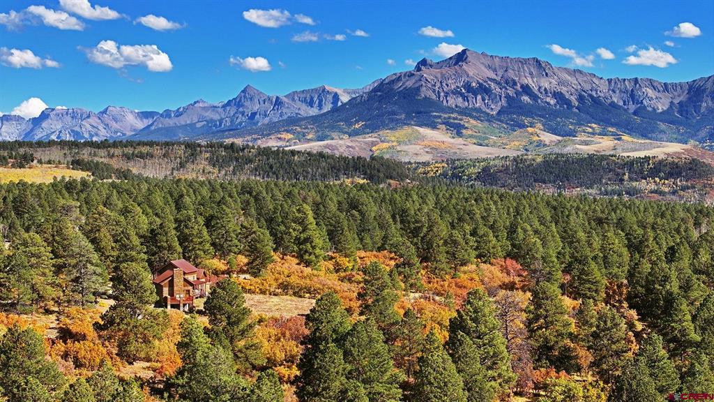 1250 Mckenzie Springs Road Property Photo 15