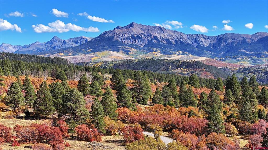 1250 Mckenzie Springs Road Property Photo 17