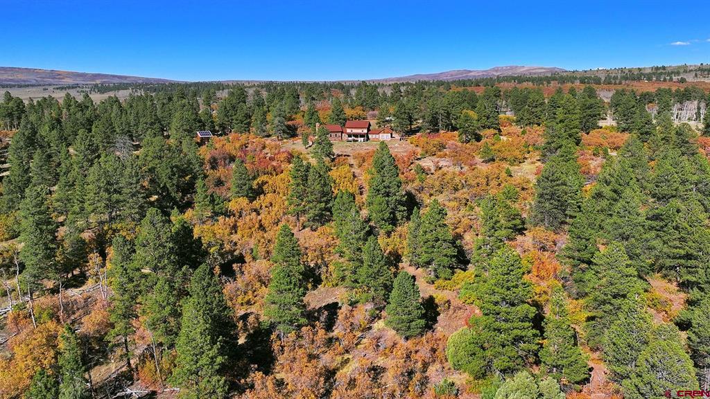 1250 Mckenzie Springs Road Property Photo 19