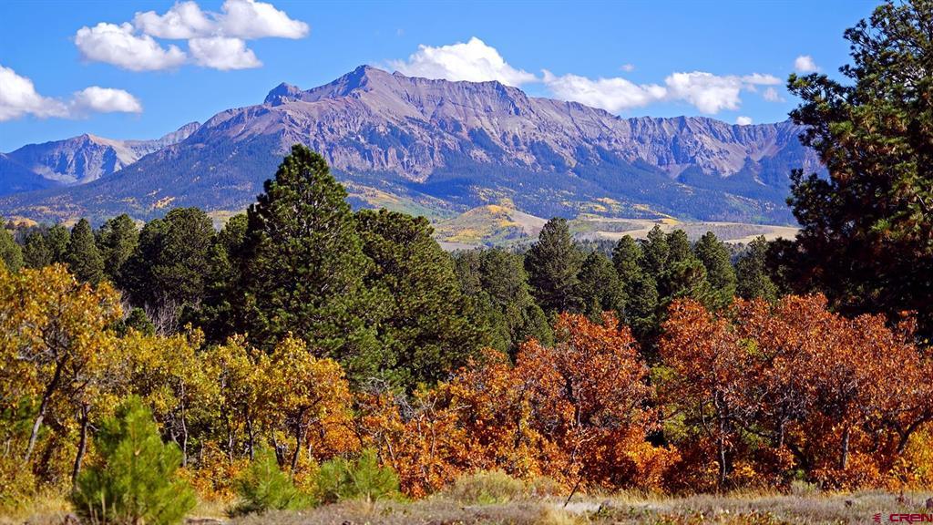 1250 Mckenzie Springs Road Property Photo 21