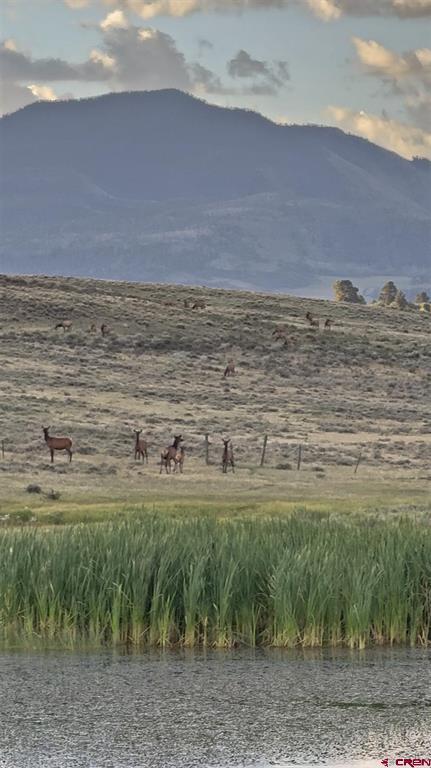 1250 Mckenzie Springs Road Property Photo 25