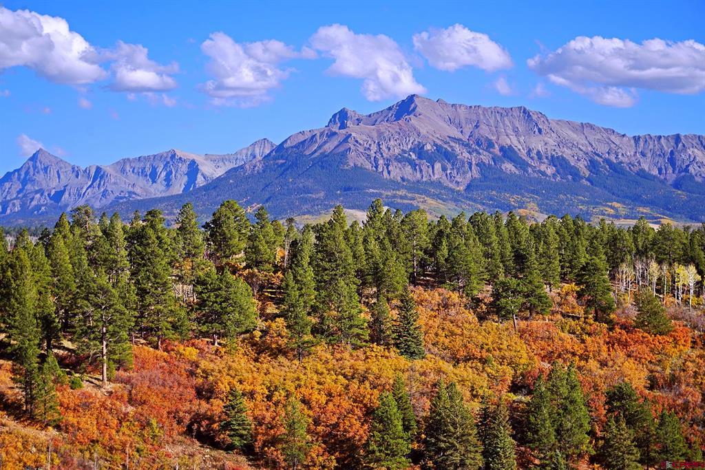 1250 Mckenzie Springs Road Property Photo 40