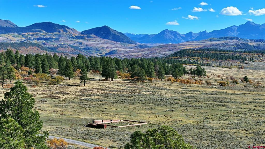 1250 Mckenzie Springs Road Property Photo 41