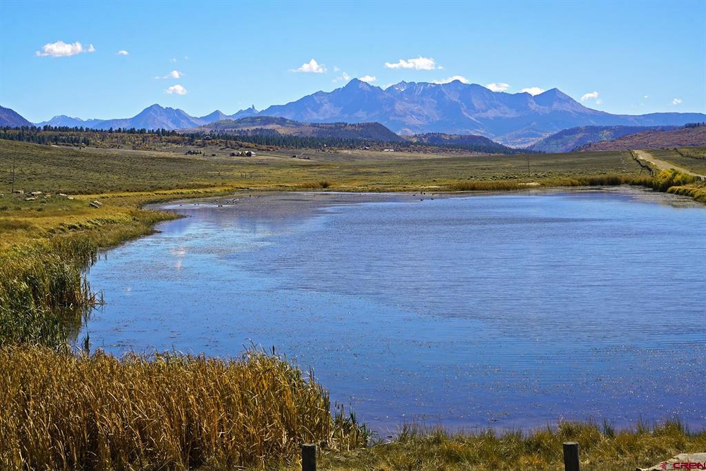 1250 Mckenzie Springs Road Property Photo 44