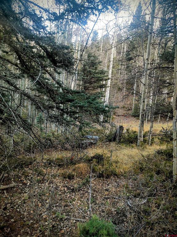 Lot 6364 Jacquez Road Property Photo 1