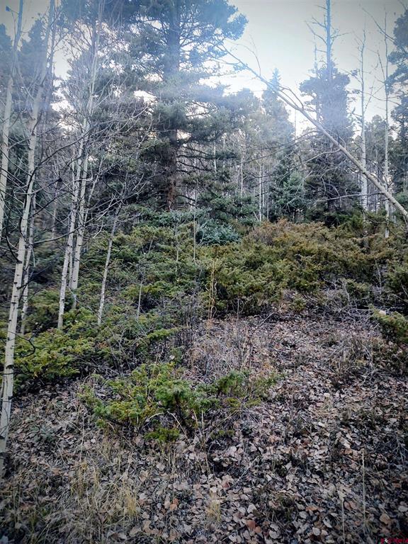 Lot 6364 Jacquez Road Property Photo 2