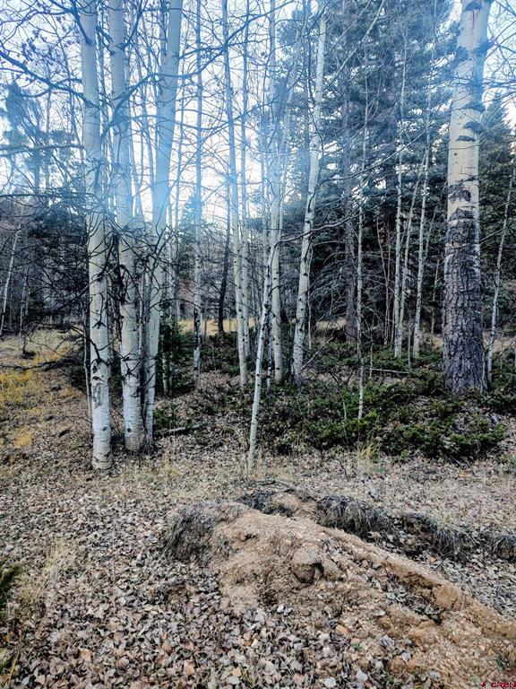 Lot 6364 Jacquez Road Property Photo 3
