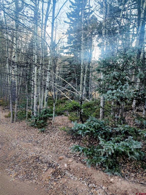 Lot 6364 Jacquez Road Property Photo 4