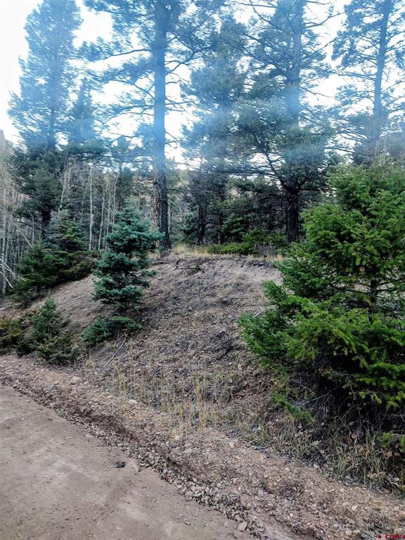 Lot 6364 Jacquez Road Property Photo 5