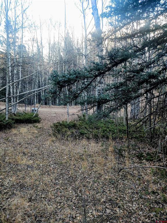 Lot 6364 Jacquez Road Property Photo 6