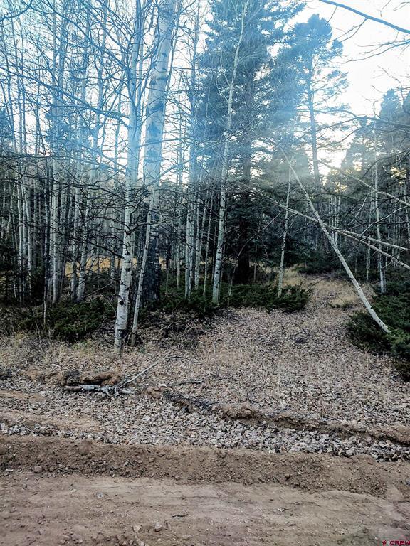 Lot 6364 Jacquez Road Property Photo 7