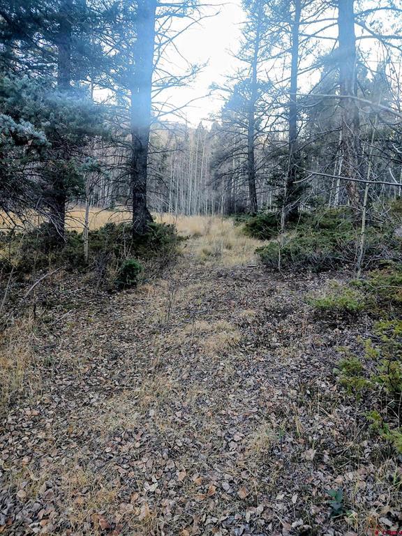 Lot 6364 Jacquez Road Property Photo 8