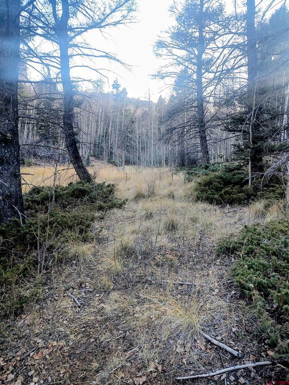 Lot 6364 Jacquez Road Property Photo 9