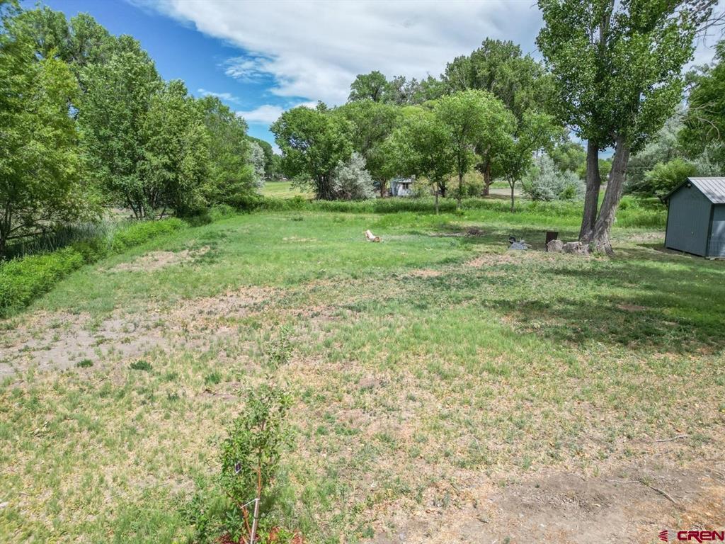 701 Highway 50 Property Photo 7