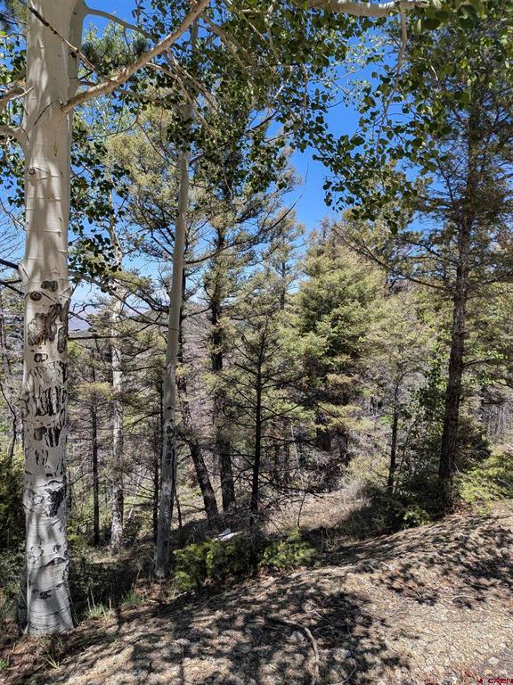 Lot 5701 Dettman Road Property Photo 1