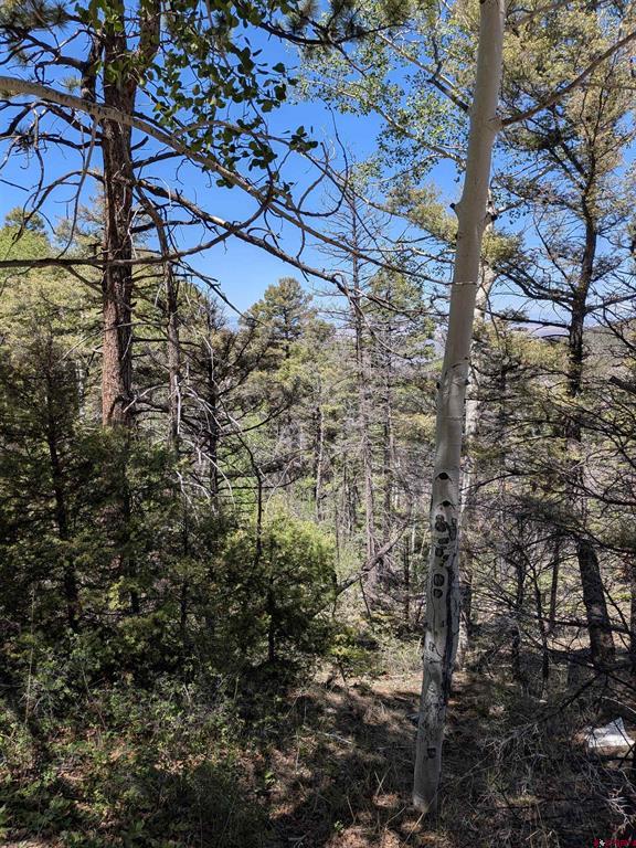 Lot 5701 Dettman Road Property Photo 2