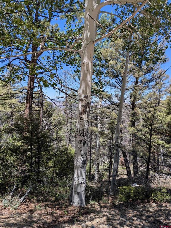 Lot 5701 Dettman Road Property Photo 3