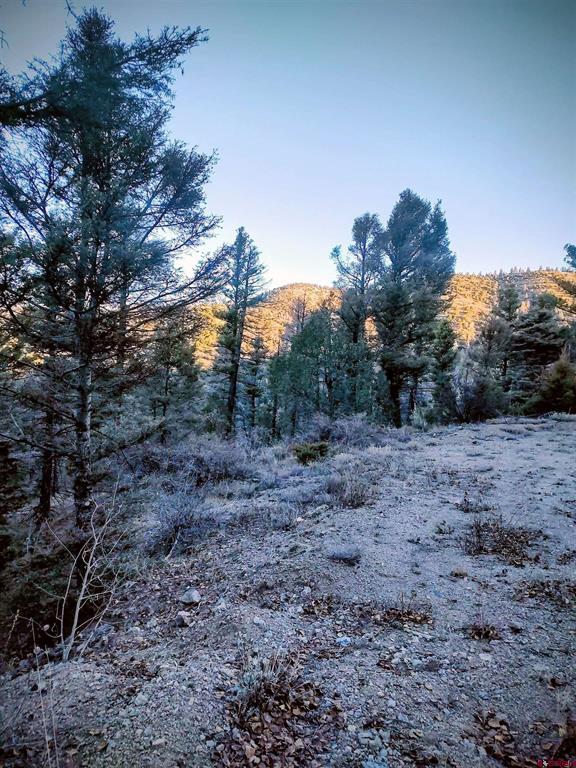 Lot 5701 Dettman Road Property Photo 4