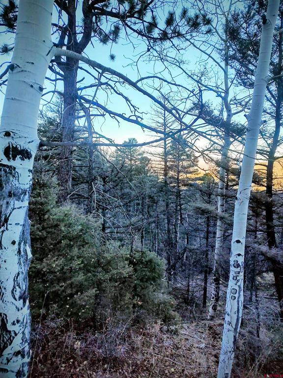 Lot 5701 Dettman Road Property Photo 5
