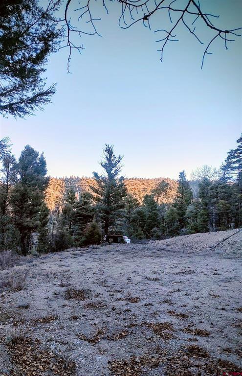 Lot 5701 Dettman Road Property Photo 6
