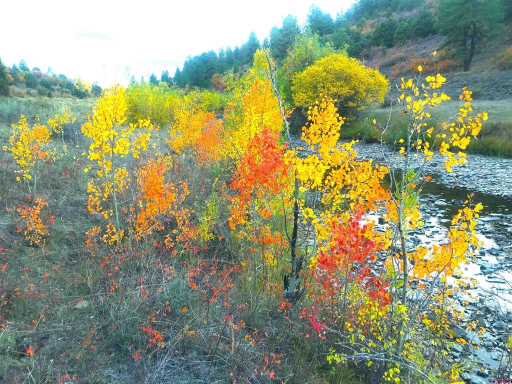 2a W. Beaver Pines Loop Property Photo 13