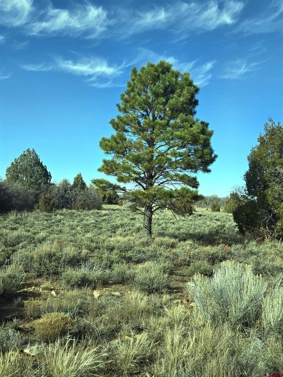 2a W. Beaver Pines Loop Property Photo 14