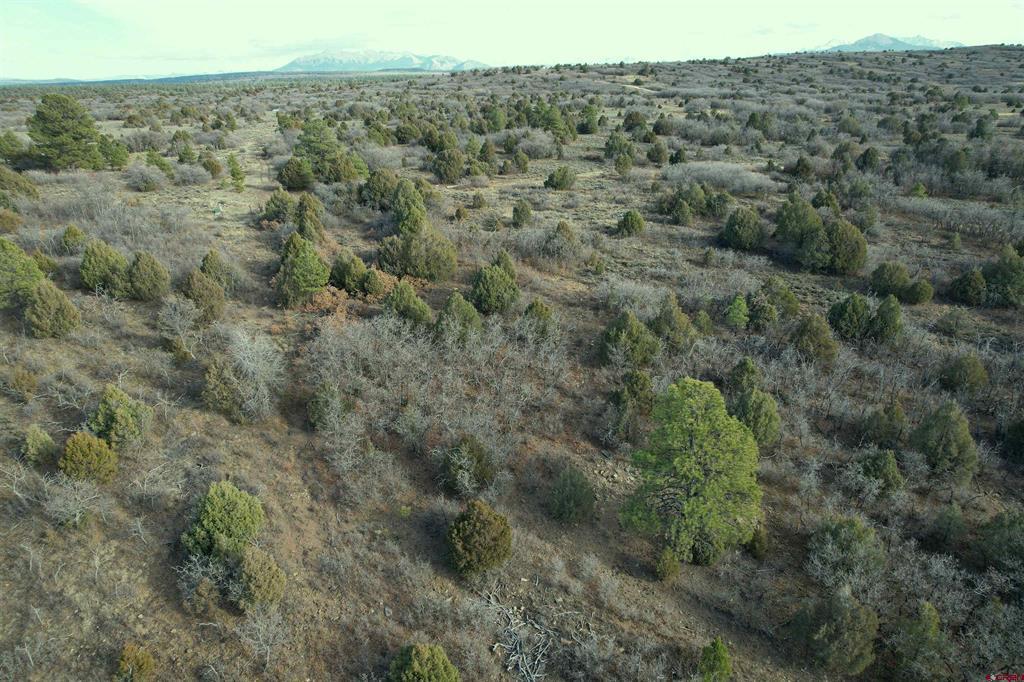 2a W. Beaver Pines Loop Property Photo 17