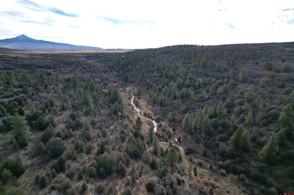 2a W. Beaver Pines Loop Property Photo 18