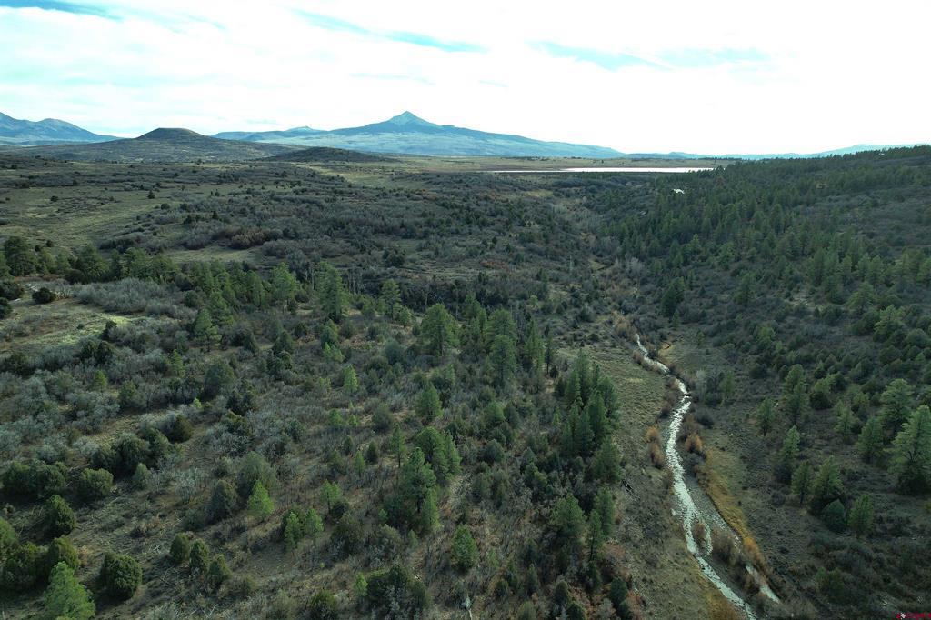2a W. Beaver Pines Loop Property Photo 19